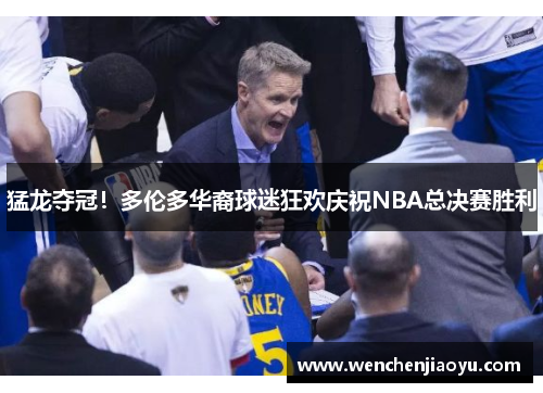 猛龙夺冠！多伦多华裔球迷狂欢庆祝NBA总决赛胜利