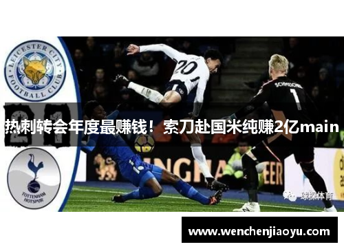 热刺转会年度最赚钱！索刀赴国米纯赚2亿main